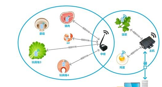 金年会(中国)官方网站